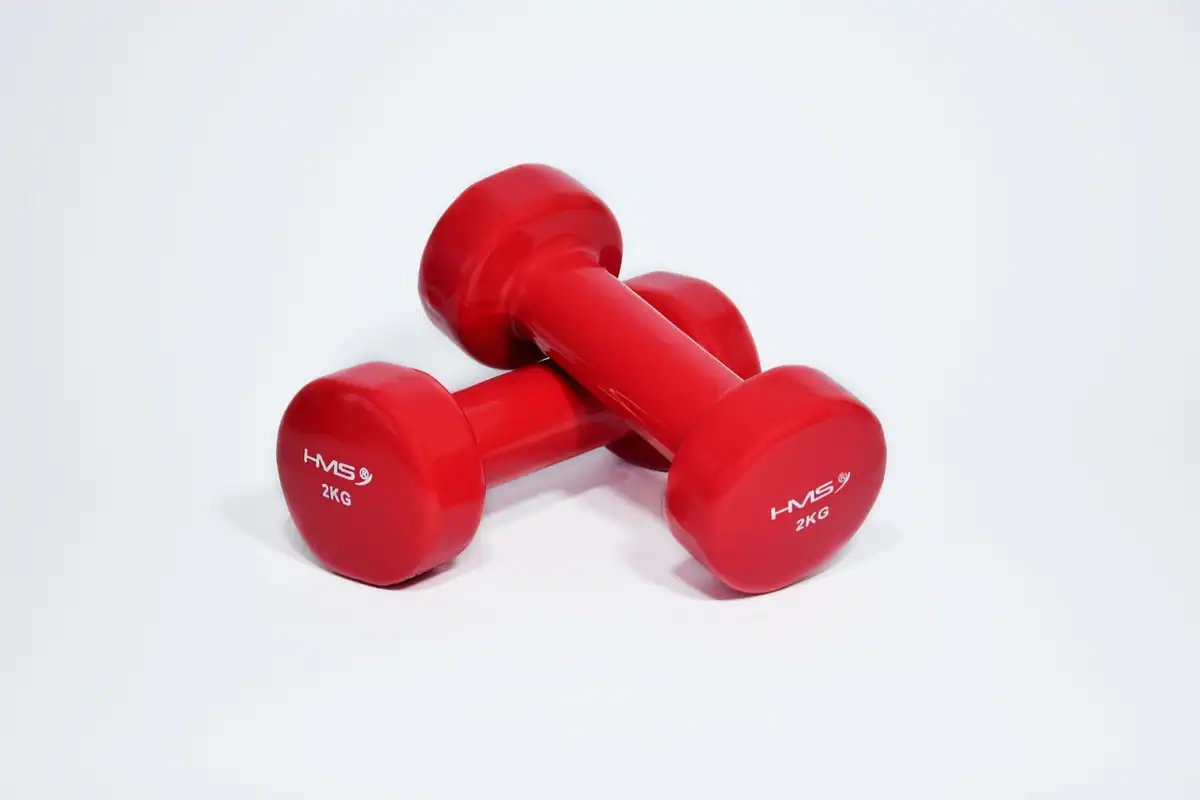Gantere de diferite greutăți, aliniate pe un suport, într-o sală de fitness