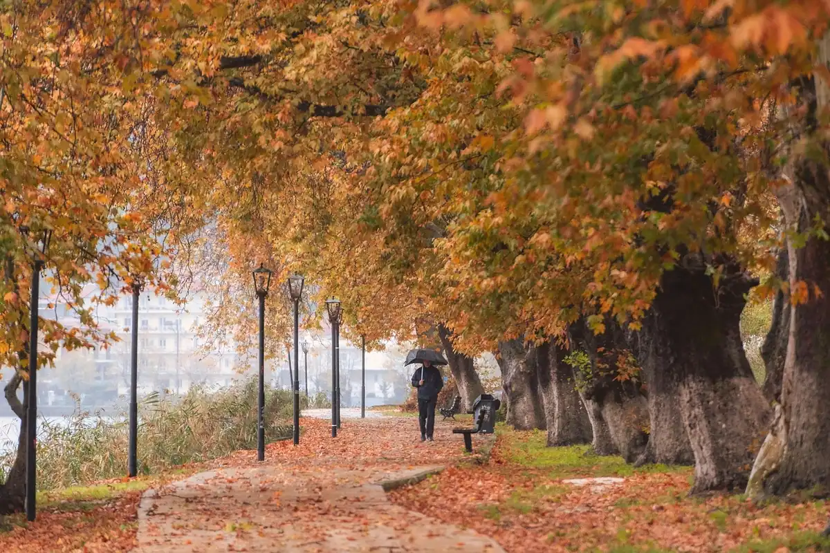 Alee de parc acoperită cu frunze de toamnă, potrivită pentru plimbări zilnice de cardio