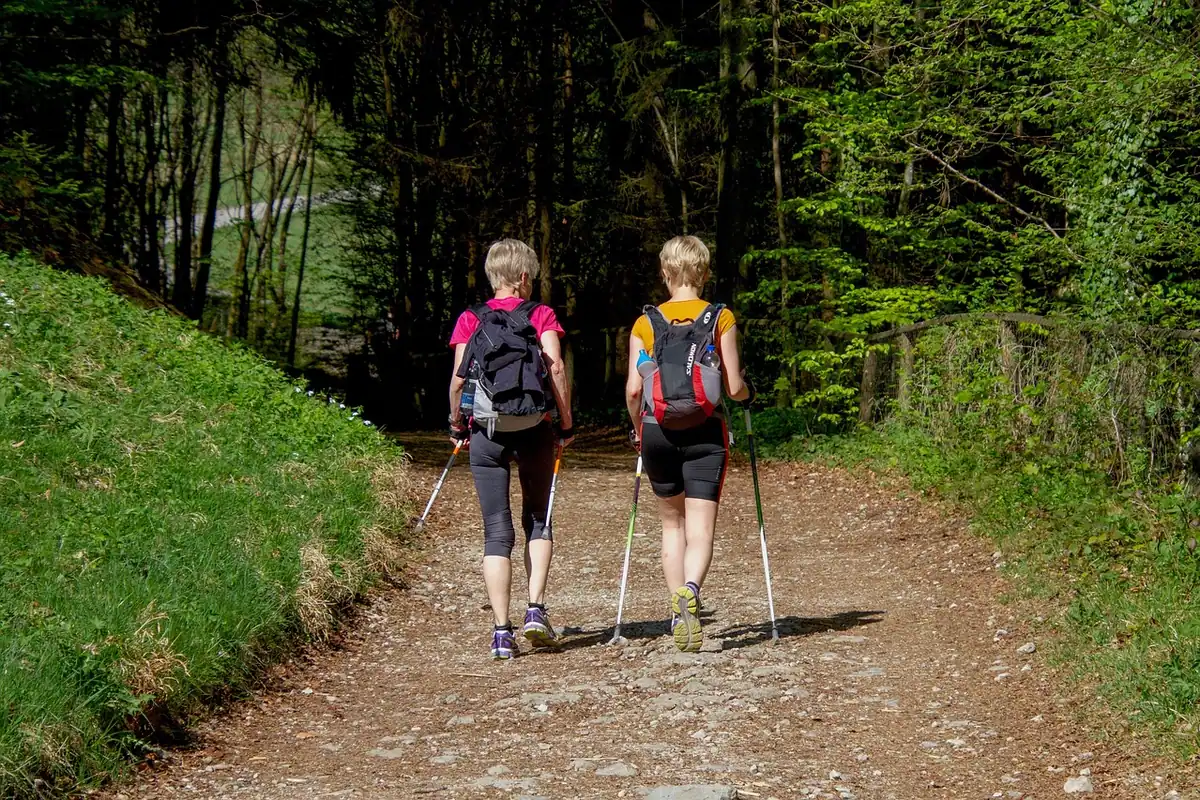 Două femei merg cu bețe de mers nordic pe un drum prin pădure