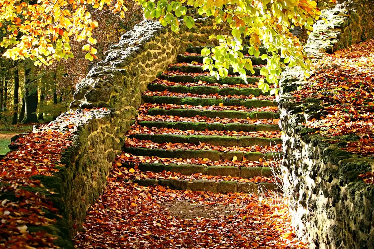 Scări de piatră în parc, acoperite cu frunze de toamnă, pentru antrenament cardio